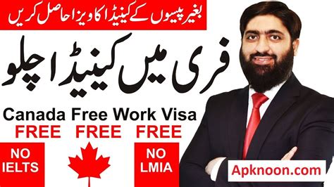 apknoon visa apply online